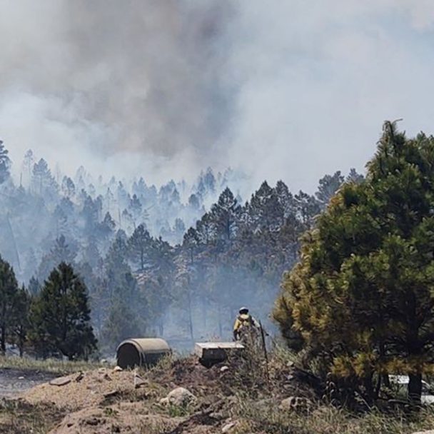 Custer State Park wildfire still burning Rapid City Daily